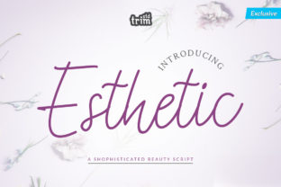 Esthetic: A Romantic Script for Modern Design
