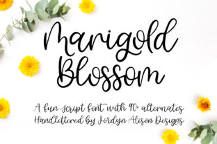 Marigold Blossom: Crafting Elegant Visual Stories