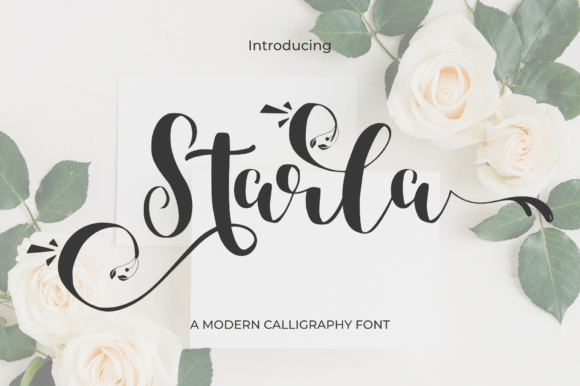 Starla Script Font: Elevating Modern Visual Design