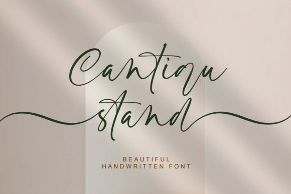 Unleash Elegance with the Cantiqu Stand Script Font
